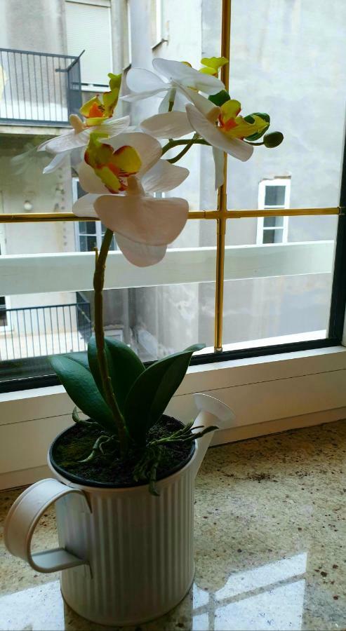 Apartament Exclusive In The Center Of Zagreb Lions Den 2 Zewnętrze zdjęcie